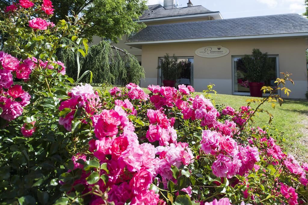 Logis Auberge Bienvenue Doué-la-Fontaine Eksteriør billede